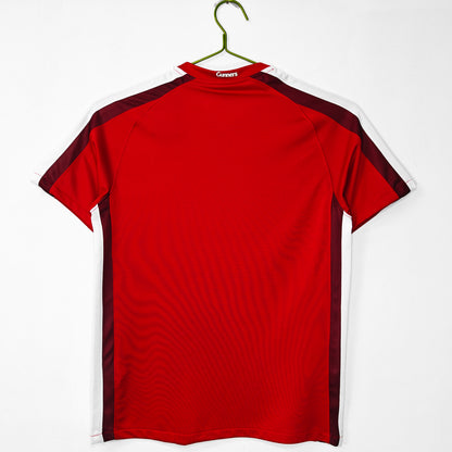 ARSENAL HOME 2008/10